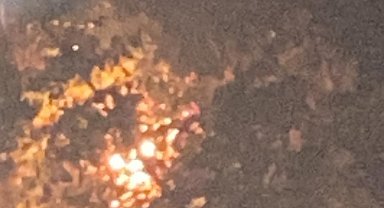 Rize'de anız ateşi ormana sıçradı