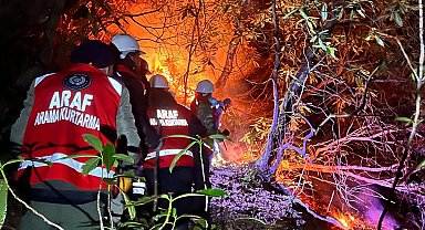 Rize'de anız yangını ormana sıçradı; 15 dönüm alan zarar gördü