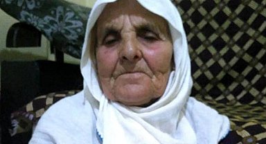 Saldırdıkları kadını öldüren köpeklerin sahibine 4 yıl 5 ay hapis