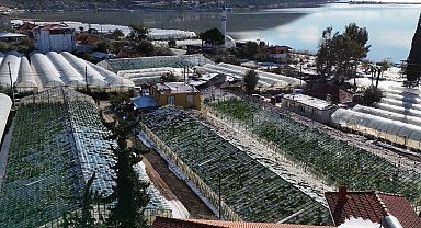 Şiddetli dolu ve yağmur, 200 dönüm seraya zarar verdi