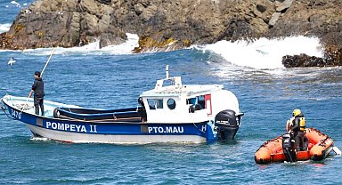 Şili'de turist teknesi battı: 7 ölü