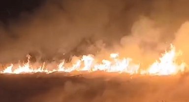 Sultan Sazlığı Milli Parkı'nda yangın