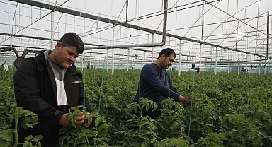 Suriyeli işçiler ülkelerine dönmekte kararlı, Antalyalı üretici düşünceli