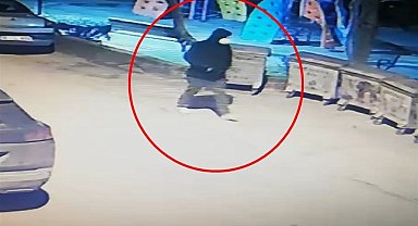 Tanınmamak için tıbbi maske takıp husumetlisini vuran şüpheli tutuklandı