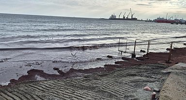 Tekirdağ'da sahili kırmızı yosun kapladı