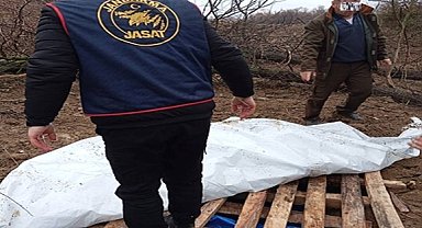 Traktörünü çukura gömüp, jandarmaya çalındı ihbarı yaptı