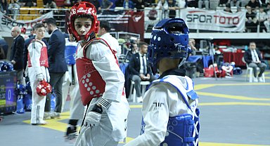 TTF Başkanı Tanrıkulu: Takım halinde Avrupa şampiyonu olduk