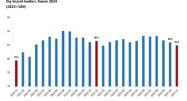 TÜİK: Dış ticaret haddi kasımda yüzde 1,6 azaldı