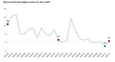 TÜİK: Hizmet üretimi yıllık yüzde 0,9 arttı