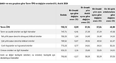 TÜİK: Tarım üretici fiyatları aylık yüzde 0,39 azaldı