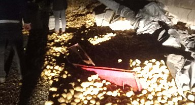 Turgutlu'da duvara çarpan kamyonun dorsesi devrildi; tonlarca patates yola saçıldı