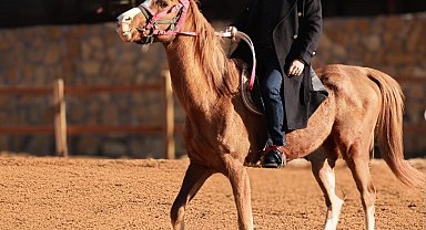 Uzak Şehir, her pazartesi 20.00'de Kanal D'de