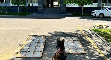 Yolcu otobüsündeki uyuşturucuyu 'Linda' buldu