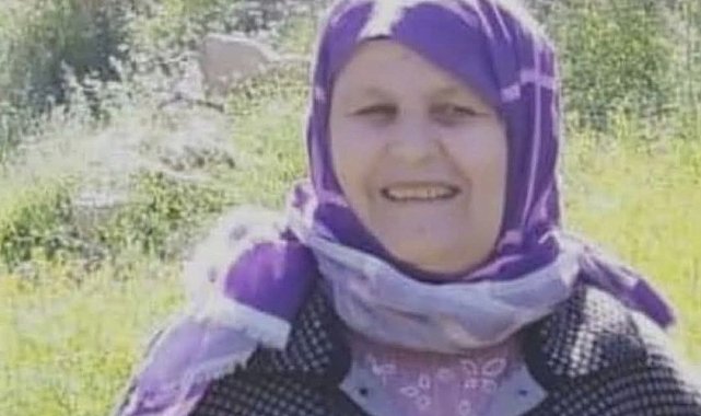 Ziyaret ettiği oğlunun mezarı başında öldü