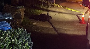 6 aylıkken annesini kaybedip, 9 yaşındayken kazada engelli kalan Hasan, 36 yaşında yine bir kazada öldü