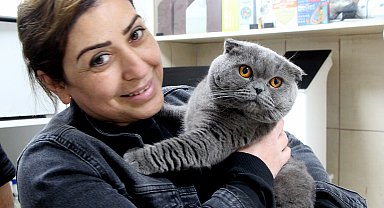 Adana'da, 6 milyonda 1 görülen çift cinsiyetli kedi ameliyat edildi