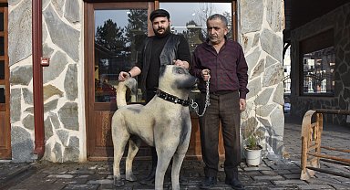 Ahşap oyma ustasından 'Kangal köpeği' heykeli