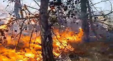 Antalya'da orman yangını