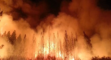 Arjantin'deki orman yangınlarından 20 bin hektarlık alan etkilendi