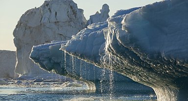 Arktik'in 'Son Buz Bölgesi' öngörülenden daha hızlı kaybolabilir
