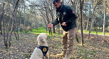 Bakanlığın dedektör köpekleriyle 1 ayda 4,1 ton uyuşturucu ele geçirildi