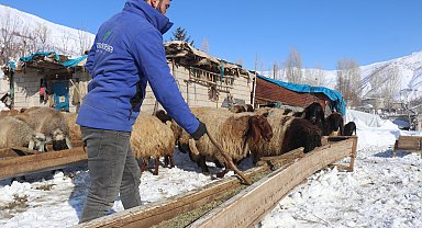 Bitlis'te besicilerin zorlu kış mesaisi