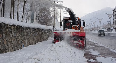 Bitlis'te kapanan 250 köy yolu ulaşıma açıldı