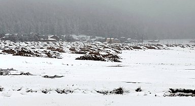 Bolu'da Sarıalan Yaylası'nda kar güzelliği