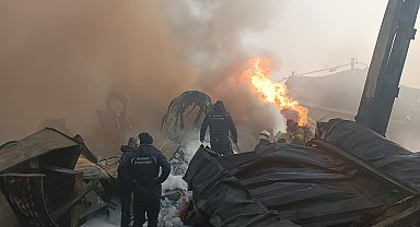 Bursa'da fabrika yangını; alevlerin arasından kurtarılan yavru kediye oksijen tedavisi