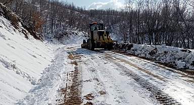 Diyarbakır'da kardan kapanan 20 mahalle yolu ulaşıma açıldı