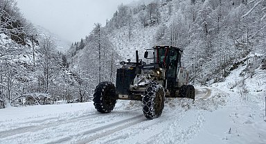 Doğu Karadeniz'de 4 ilde 675 köy ve mahalle yolu kardan kapandı