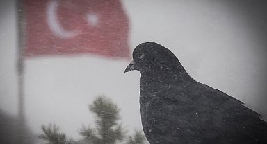 Doğu'da 2 bin 666 kapalı köy yolunun 524'ü açıldı