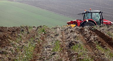 Edirne'de ayçiçeğinde kuraklığa karşı en ideal ekim metodu belirlenecek