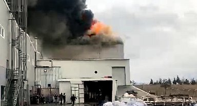 Edirne'de fabrika yangını
