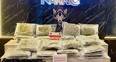 Edirne'de, yurda giriş yapan TIR'da 30 kilogram 'skunk' ele geçirildi; 2 tutuklama