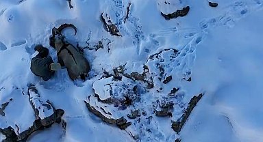 Erzincan'da kaçak avcı doğa fotoğrafçısının kamerasına yakalandı