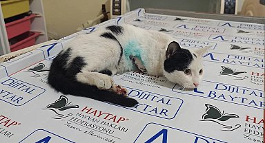 Girdiği motorda araç çalıştırılınca yaralanan Sütlaç'ın sağ ayağı ampute edildi