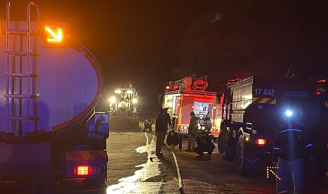 Gökçeada'da otluk yangını kontrol altına alındı