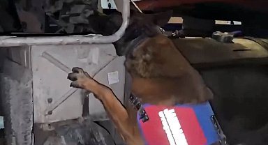 Hakkari'de 175,5 kilo esrar ele geçirildi: 2 gözaltı