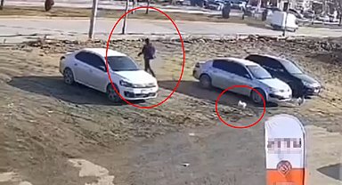 Horoz, sayaç okumaya gelen görevliyi kovaladı; o anlar kamerada