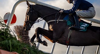 İrlandalı jokey O'Sullivan, yarış sırasında düşerek hayatını kaybetti