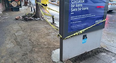 İstanbul - Beşiktaş'ta elektrik akımına kapılan 'Choko' nun durumu iyi; kaçak giderildi