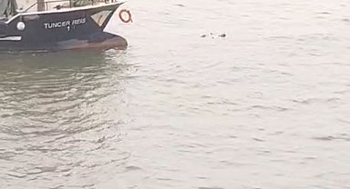 İstanbul- Fatih'te denize düşen kadın balıkçılar tarafından kurtarıldı