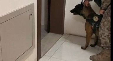 İstanbul - Hakkında 27 yıl 4 ay hapis cezası bulunan firari yakalandı