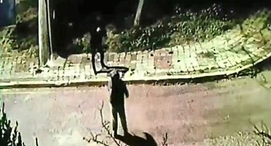 İstanbul- İstanbul'da suç örgütlerine operasyon: 42 gözaltı