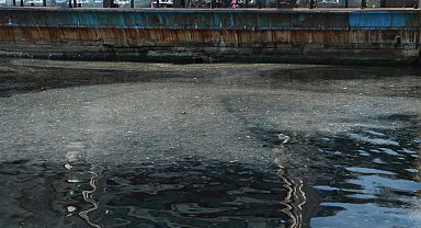 İstanbul- Moda Sahili'nde denizanası müsilajı