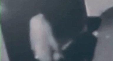 İstanbul - Pendik'te Türk bayrağını yakan şüpheliye 1 yıldan 3 yıla kadar hapis istemi