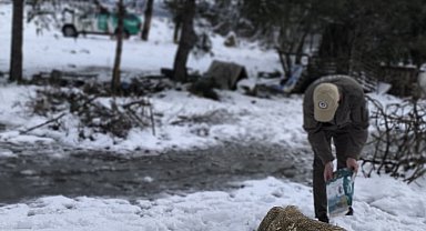 İstanbul - Polis ekipleri sokak hayvanlarını unutmadı