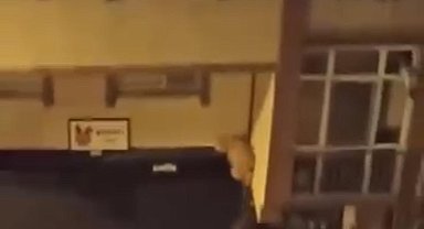 İstanbul- Şişli'de dükkanın duvarındaki oyuncak ayıyı çaldı; 'Beğendim aldım' dedi