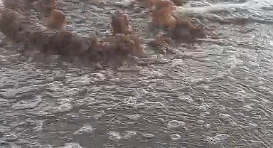 İzmir Büyükşehir Belediyesi'ne 1,6 milyon lira 'atık su' cezası